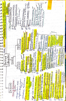 Modern history (3).pdf